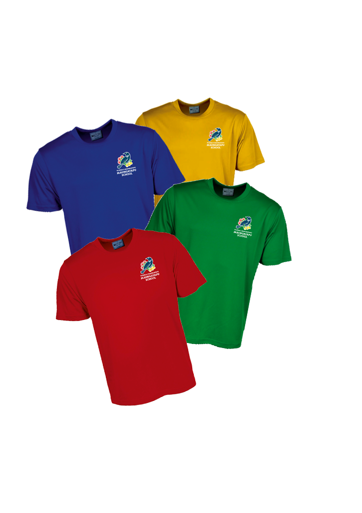Maungatapu School Yr 5-8 House Tee Kids